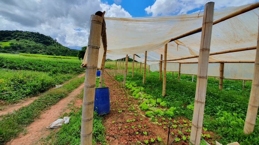 Aqui de Leopoldina: Agricultura familiar