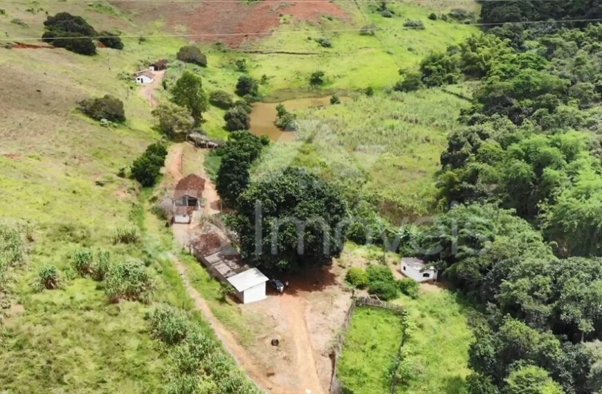 Sítio com 6 alqueires, duas casas e nascentes de água na Boa Sorte em Leopoldina